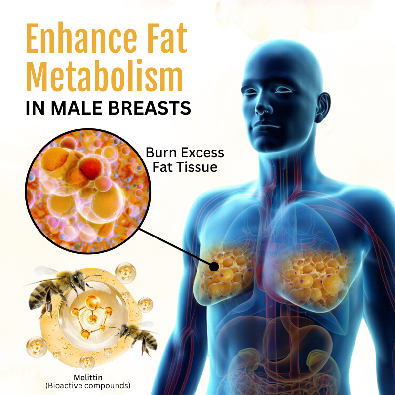 Discount 50% - Venofirm Active Bee Serum